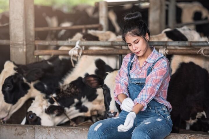 OPINION: Agricultural Work is Dangerous; Communication Can Save Lives