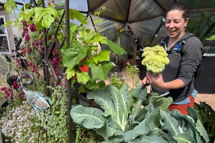 Growing Spaces, Maker of Growing Domes, Earns Certified B Corporation Status