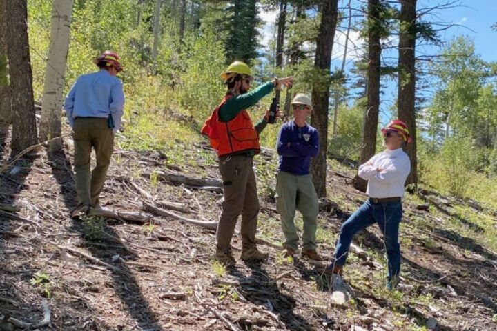 EDITORIAL: The Cost of Wildfire Preparations, Part Four
