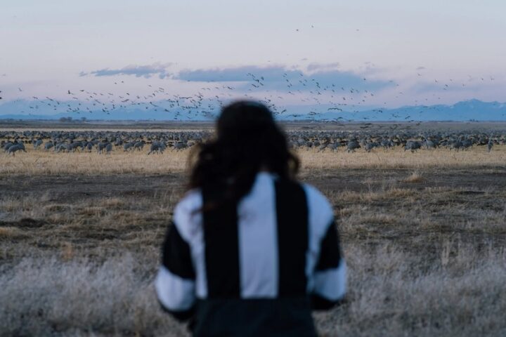 THE DAILY YONDER: Drought Threatens Both Wildlife and Business in Rural Colorado