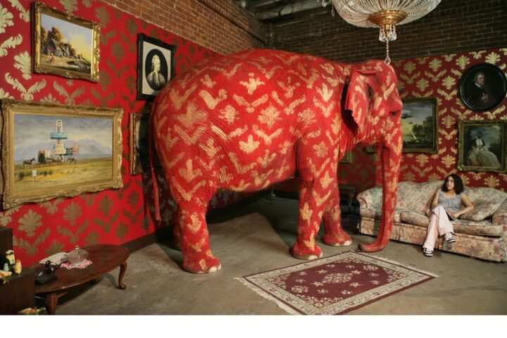 READY, FIRE, AIM: Elephants in Rooms