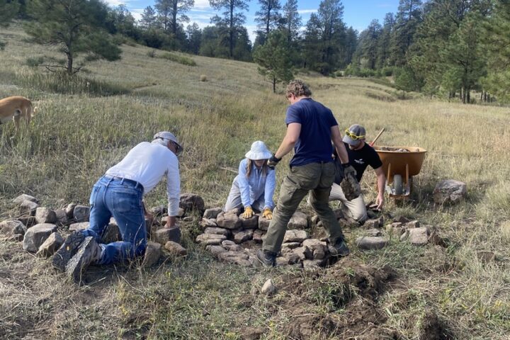 BACKYARD BIODIVERSITY: Low Tech Restoration Structures In Turkey Springs