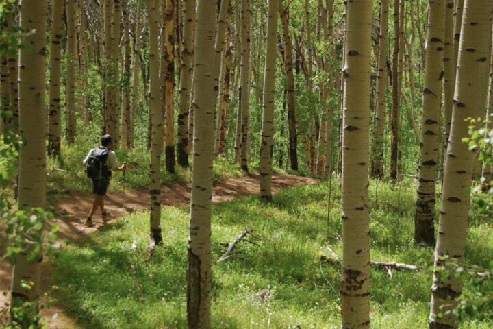 Continental Divide Trail Coalition Reports on Community Survey