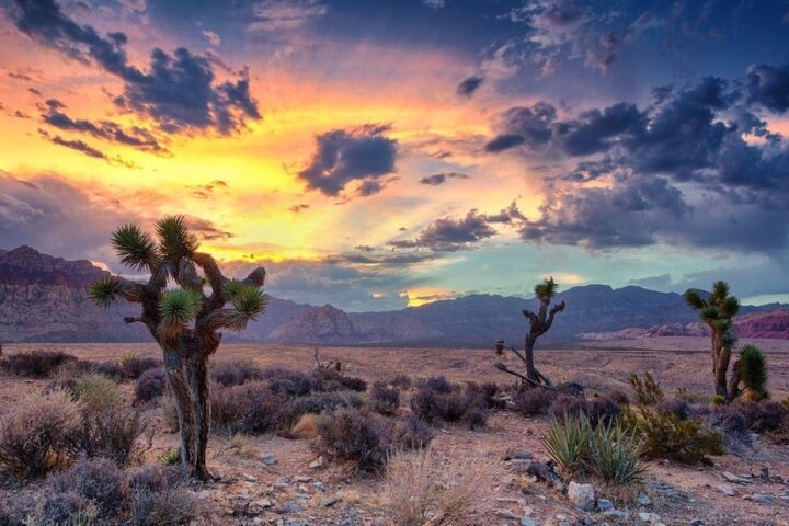 READY, FIRE, AIM: The Cold, Hard Truth About the Colorado River