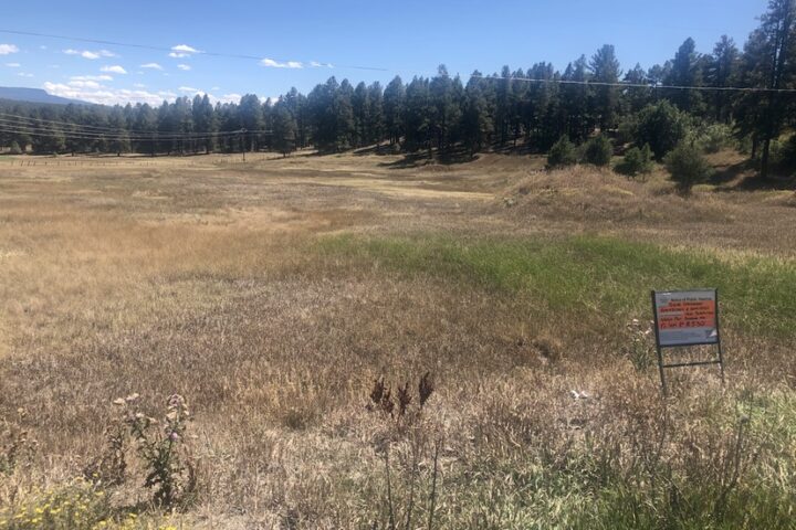 EDITORIAL: Town Planning Commission Considering Developments on Sept. 8, Part Three