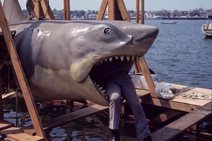 THEATRE: When the Shark is Broken, the Real Drama Begins